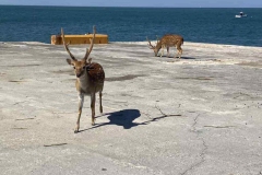 307208960_412586811024315_4752393632268758302_n