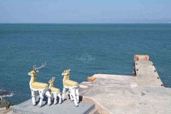 307307182_412589054357424_1160338738933342948_n