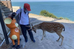 307556223_412589324357397_489747365602604595_n