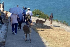 307575949_412589161024080_6758173318720897211_n