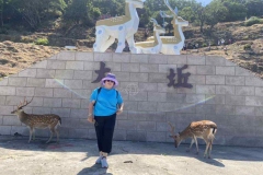 307770483_412587091024287_4291893075086207791_n