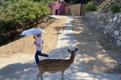 308671633_412586907690972_8637366063504937258_n