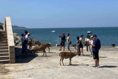 308825202_412588921024104_4715292138319920241_n