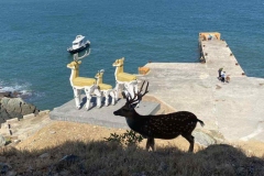 308937252_412588857690777_3576191781647820916_n