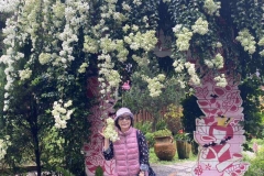 316538695_458870213062641_5218967639400135927_n