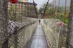 316548207_458870406395955_7798139185427934238_n