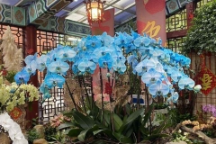 尚豪旅遊-台灣熱門旅遊景點,國外旅遊,高雄出發