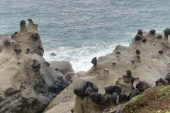 尚豪旅遊-台灣熱門旅遊景點,國外旅遊,高雄出發