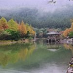【 11/14~16 】北橫拉拉山、明池3日遊
