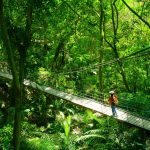 【 12/26～28 】大板根(溫泉)、千島湖、苗栗渡假莊園3日遊