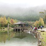 【 2/7-9】拉拉山(櫻花季)+明池3日遊