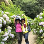 【 6/14～16 】杉林溪(繡球花)、日月行館+鹿港3日